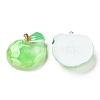 Transparent Resin Decoden Cabochons X-CRES-J046-03H-2