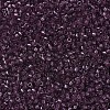 MIYUKI Delica Beads Small SEED-X0054-DBS1104-3
