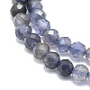 Natural Iolite/Cordierite/Dichroite Beads Strands G-P457-A03-11-2