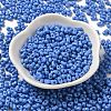 Baking Paint Glass Seed Beads SEED-K009-01A-19-2
