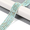 Synthetic Turquoise Beads Strands G-U004-02Q-2