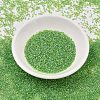 MIYUKI Delica Beads SEED-J020-DB2376-2