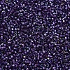 MIYUKI Delica Beads SEED-MY11-DB1756-3