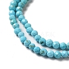 Natural Howlite Beads Strands G-C025-03B-02-4