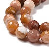 Natural Petrified Wood Beads Strands G-E571-15B-4