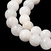 Nature Rainbow Moonstone Round Bead Strands G-M263-A-02AB-4