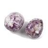 Natural Lepidolite Beads G-G348-01B-18-2