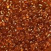 Spray Painted Glass Seed Beads SEED-F005-05A-03-3