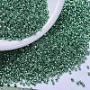 MIYUKI Delica Beads SEED-X0054-DB0426-1