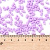 Rubberized Style Glass Seed Beads SEED-Z003-01F-4