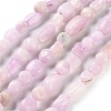Natural Kunzite Beads Strands G-P497-01C-36-1