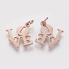 304 Stainless Steel Pendants STAS-Q201-T460R-1