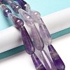 Natural Amethyst Beads Strands G-P528-H15-01-2