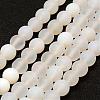 Frosted Natural White Agate Beads Strands G-F377-6mm-1