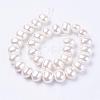 Shell Pearl Beads Strands BSHE-L035-E03-2