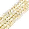 Anti-Tarnish Electroplate Bicone Glass Beads Strands EGLA-T021-4mm-16-14-1