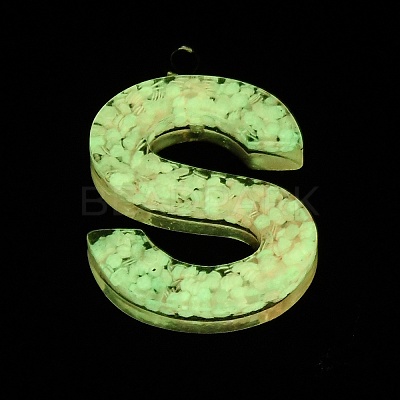 Luminous Resin Pendants RESI-I059-S01-1