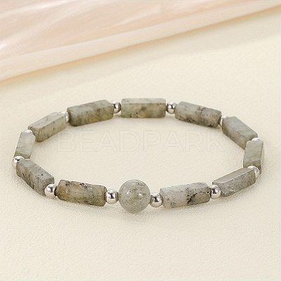 Natural Labradorite Beaded Stretch Bracelets for Men Women WGE4A78-05-1