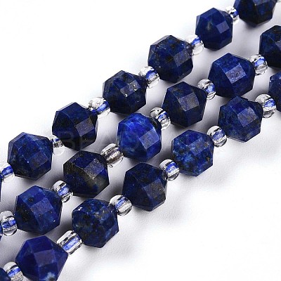 Natural Lapis Lazuli Beads Strands G-O201B-25-1-1