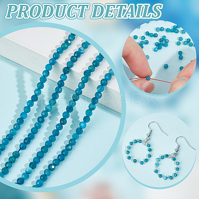 2 Strands Natural Apatite Beads Strands G-NB0005-67-1