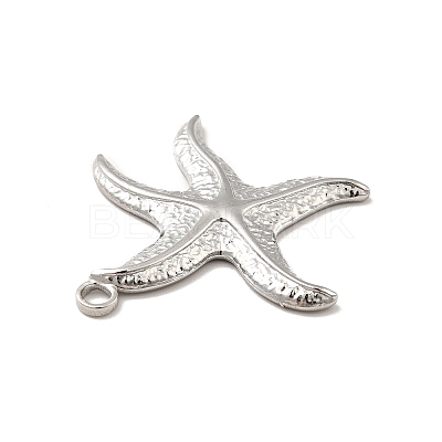 Non-Tarnish 304 Stainless Steel Pendants X-STAS-I197-019P-1