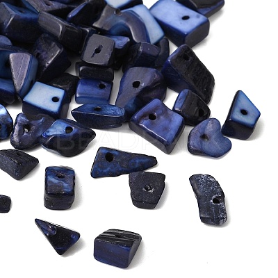 Dyed Natural Freshwater Shell Chips Beads SHEL-O001-12C-1