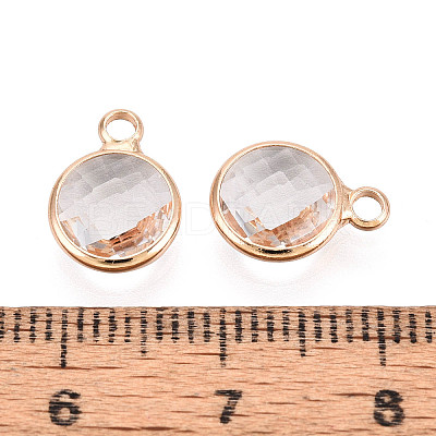 Golden Tone Brass Glass Charms GLAA-ZX008-24E-G-1