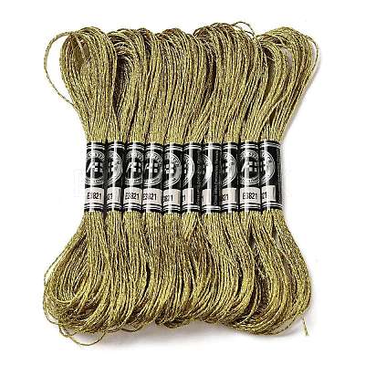 10 Skeins 12-Ply Metallic Polyester Embroidery Floss OCOR-Q057-A12-1
