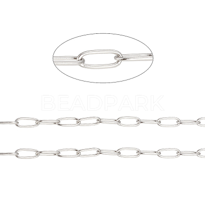 Tarnish Resistant 304 Stainless Steel Paperclip Chains CHS-F010-01H-P-1