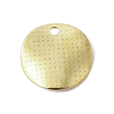 304 Stainless Steel Charms STAS-D217-04G-1