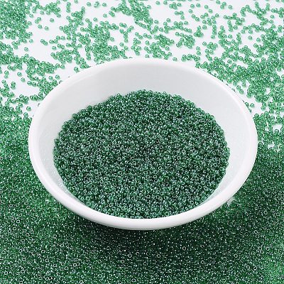 MIYUKI Round Rocailles Beads X-SEED-G007-RR0173-1