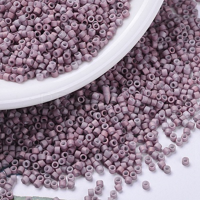 MIYUKI Delica Beads Small X-SEED-J020-DBS0379-1