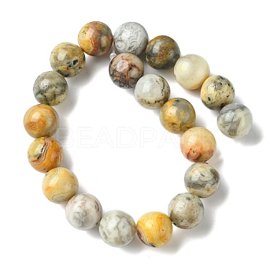 Natural Crazy Lace Agate Round Bead Strands G-M272-03-10mm-1
