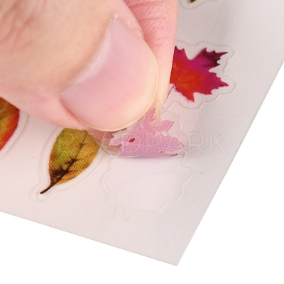 Waterproof Plastic Self Adhesive Stickers DIY-F064-13H-1
