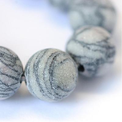 Frosted Natural Black Silk Stone/Netstone Round Bead Strands G-E334-8mm-25-1