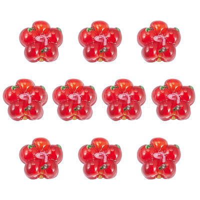 10Pcs Handmade Lampwork Beads LAMP-TADJ0001-01E-1