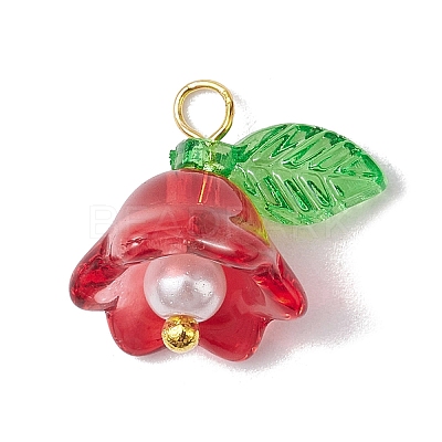 Mixed Color Glass Pearl & Acrylic Charms PALLOY-JF02567-02-1