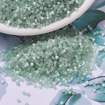 MIYUKI Delica Beads X-SEED-J020-DB0829-1