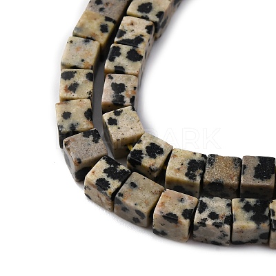 Natural Dalmatian Jasper Beads Strands G-F631-K30-1