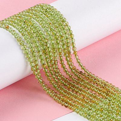 Natural Peridot Beads Strands G-K313-B01-02-1