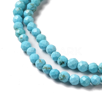 Natural Howlite Beads Strands G-C025-03B-02-1