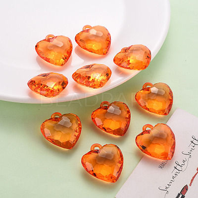 Transparent Acrylic Pendants TACR-T024-03B-921-1