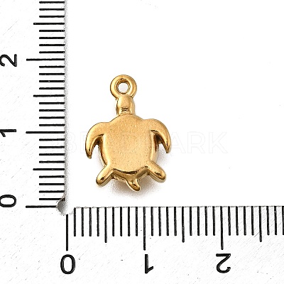 304 Stainless Steel Pendants X-STAS-C119-24F-G-1