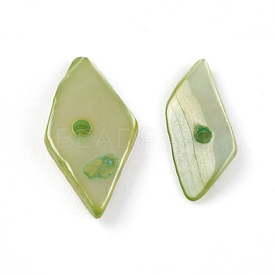 Shell Beads BSHE-I008-13-1