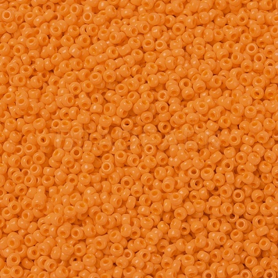 MIYUKI Round Rocailles Beads X-SEED-G007-RR0405-1