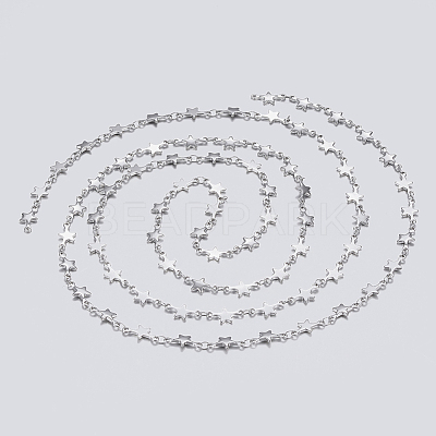 Tarnish Resistant 304 Stainless Steel Chains STAS-P197-059P-1