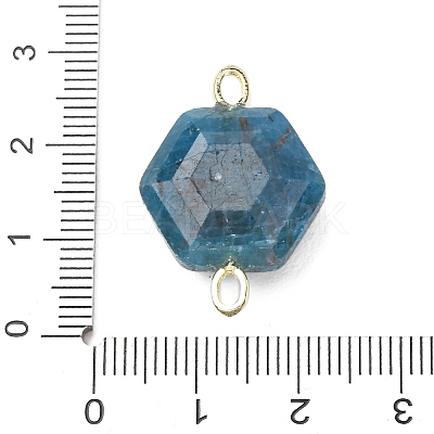 Faceted Natural Apatite Carved Links G-T146-01G-07-1