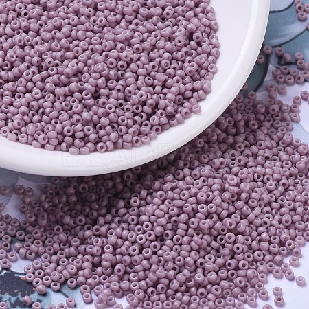 MIYUKI Round Rocailles Beads SEED-G007-RR2024-1
