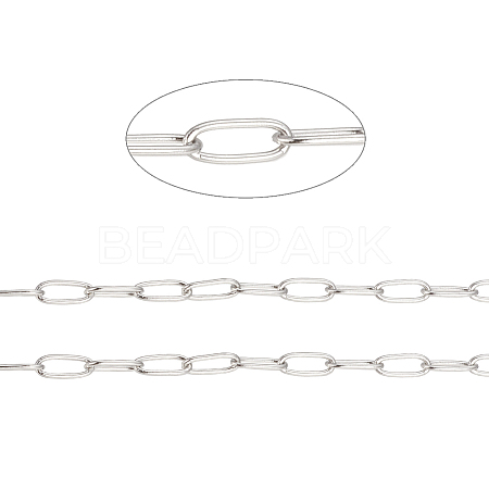Tarnish Resistant 304 Stainless Steel Paperclip Chains CHS-F010-01H-P-1