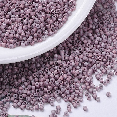 MIYUKI Delica Beads Small X-SEED-J020-DBS0379-1
